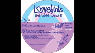 Lovebirds - Want You In My Soul ft. Stee Downes (Original Mix)