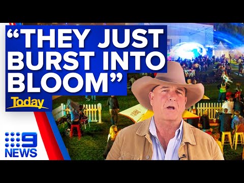 Annual Gold Coast Show begins in Southport | Coronavirus | 9 News Australia