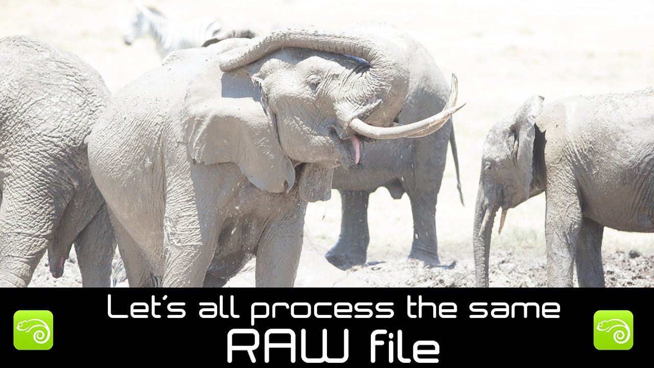 Let's All Process the Same RAW File #1