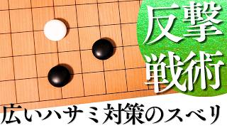 広いハサミを攻略する、堅実なスベリ戦法の使い方【囲碁実況】