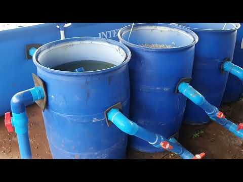 Recirculating Aquaculture System (RAS) Philippines