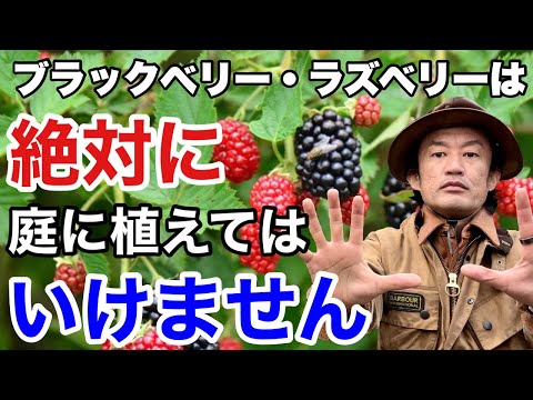 果物の種からキンカンを育てる方法は?  庭園