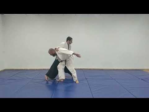 Aikido Basic Techniques: Tsuki uchi kaiten nage
