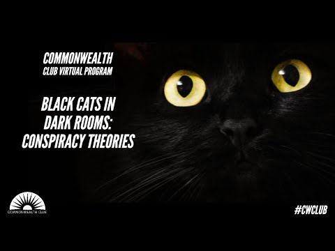 Black Cats in Dark Rooms: Conspiracy Theories