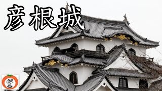 preview picture of video '彦根城 玄宮園 楽々園 ダイジェスト 【 うろうろ近畿 Japan Travel 】 滋賀県 彦根市 Hikone castle Shiga'