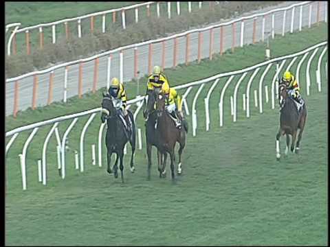 Galoppo 28/12/2016 - 2ª corsa