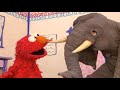 Elmo S World Wild Animals 2021 HD