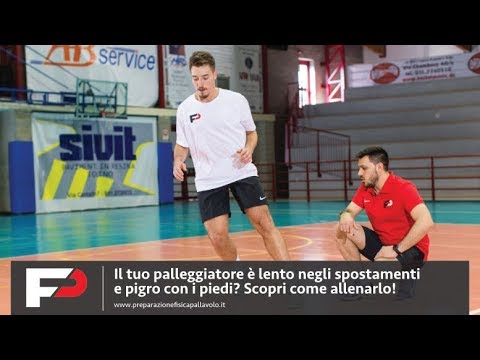 Is your setter slow in his movements and lazy with his feet?