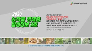 2020년 농작물 병해충 발생정보 3호