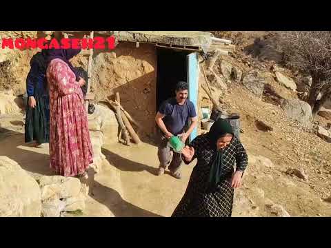 Man's betrayal  Razia Joli faces wild animals, the risk of death in dangerous and cold straits 🥹🐺🐺