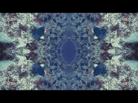 Undercurrents - Warped Beat in 12-Tone Microtonal Tuning