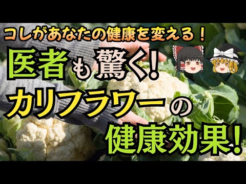 植物の栄養について詳しく解説