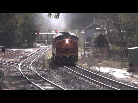 1283 Grainy Balhannah CLF6 CLP17