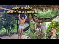 Alone In Forest Haversting Gardening Vlog Bernaldfarm