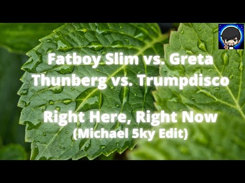 🌍🟢Fatboy Slim vs. Greta Thunberg vs. Trumpdisco - Right Here, Right Now (Michael 5ky Edit)