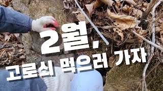[시골일상 브이로그]  2월은 고로쇠지. 당분간 물은 안끓여도 되니 좋구나