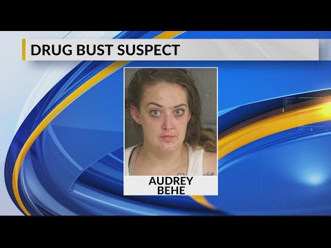 Drug Bust Suspect