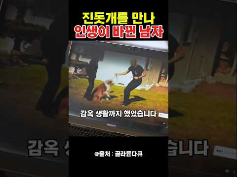 진돗개를 만나 인생이 바뀐 남자