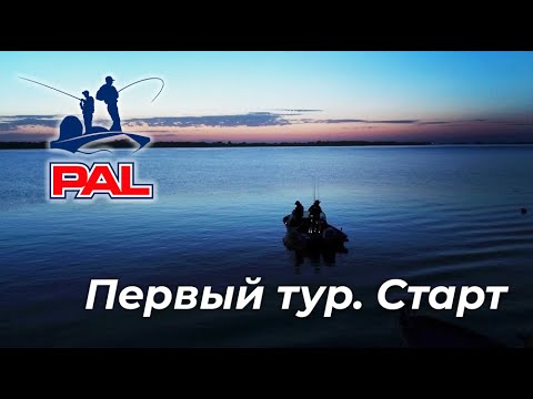 LIVE REPORTS: Старт первого тура. Отборочный этап PAL 2020. Астрахань.