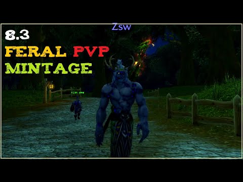 [BFA 8.3] Feral Druid PvP Montage (야드, Zsw) - Execute