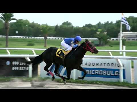 220121 c04 - RUMARIO - HIPODROMO LAS PIEDRAS