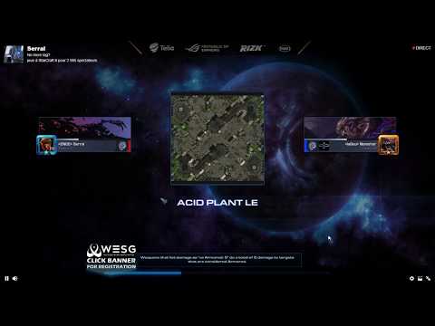 Serral Ladder Session-Custom vs Namshar