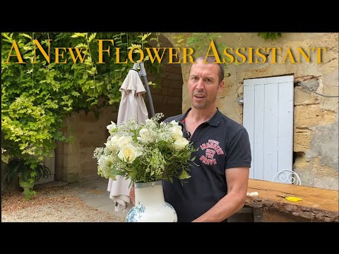 EP41 New Flower assistant @ chateau Lagorce