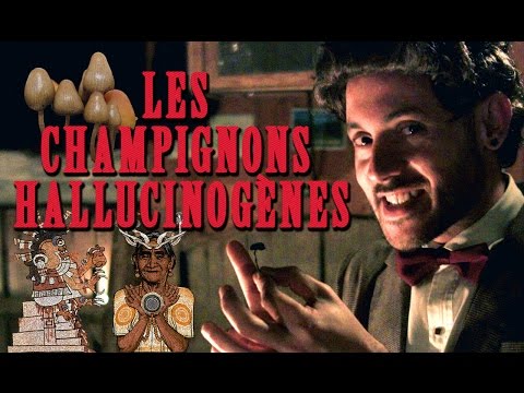 download lagu mp3 mp4 Champignon Magique, download mp3 Champignon Magique free downloadn, video klip Champignon Magique