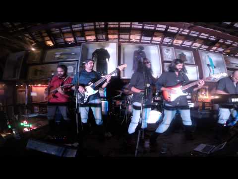 Swans of saraswati by AGAM