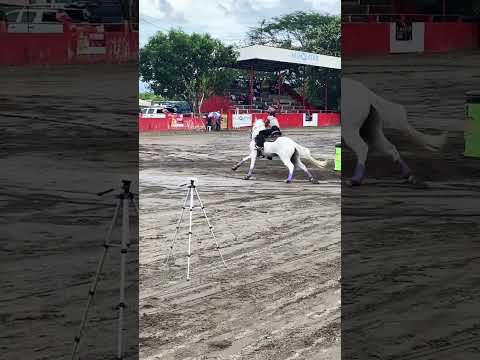 Interprovincial de Amazonas -Bocas del toro  -Gualaca Chiriquí -Representando a Los Santos