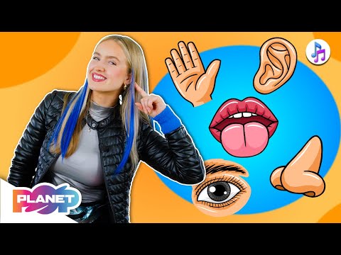 Senses Song 👀👂🏽👃🏻 Smell, Taste, Feel, Hear, See | English For Kids #englishforkids