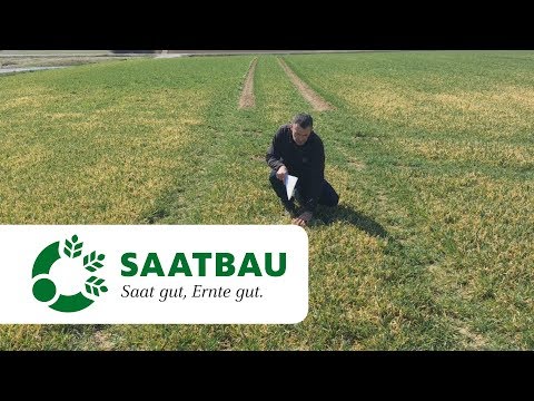 download lagu mp3 mp4 Mangan Weizen, download lagu Mangan Weizen gratis, unduh video klip Mangan Weizen