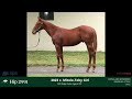 KEENOV23 2991 Toby Girl 23