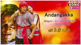Andangkaka Kondakari - Video Song  Anniyan  Vikram