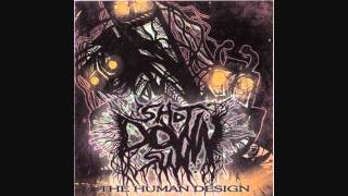 Shot Down Sun - Neematoad