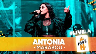 ANTONIA  - Marabou // #LiveLaH
