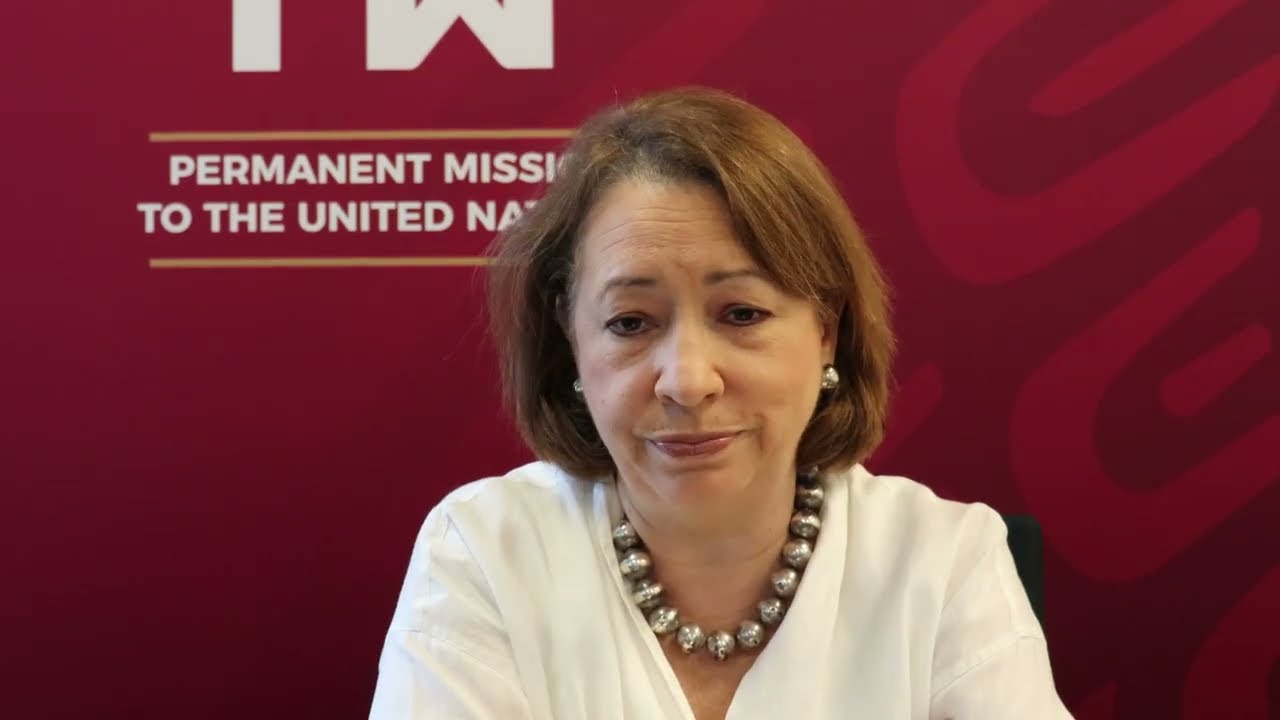 R2Pat20: Amb.Buenrostro Massieu, Deputy Permanent Representative of Mexico to the United Nations