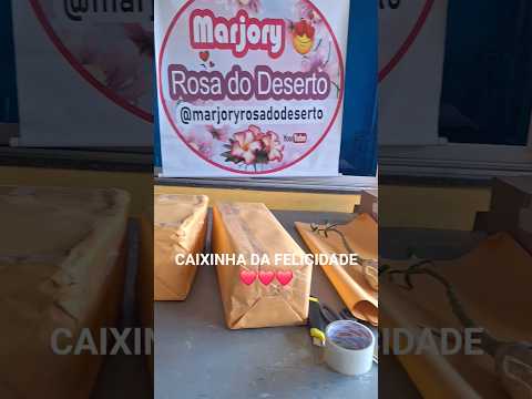 VAMOS DE ENVIO DAS ROSA DO DESERTO: ALAGOAS, TOCANTIS E MINAS GERAIS🙏🙏🙏