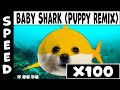 아기상어 (상어가족) 강아지 리믹스 [Baby Shark (Shark Family) Puppy Remix] Speed X100 (Gradual Accseleratio