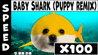 아기상어 (상어가족) 강아지 리믹스 [Baby Shark (Shark Family) Puppy Remix] Speed X100 (Gradual Accseleration)