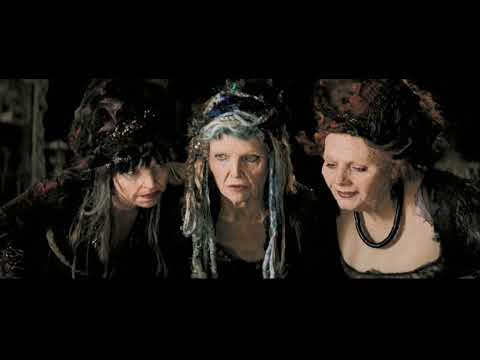 The Witches of Stormhold