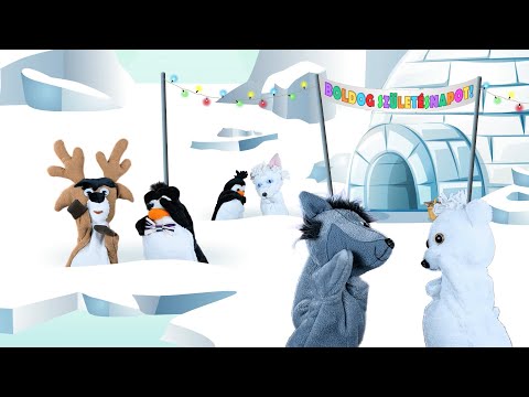 Buborék együttes - Sarki buli (Hivatalos videoklip) 2024