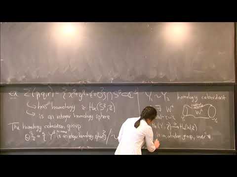 The homology cobordism group - Linh Truong