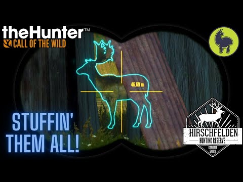 Fleischer- Stuffin' them All! Hirschfelden | theHunter: Call of the Wild (PS5 4K)