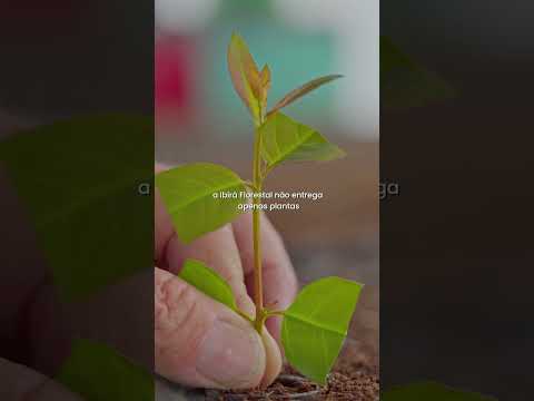 Vídeo Me Produz