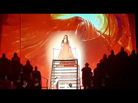 Mihaela Grăjdeanu -"Dulcissime"