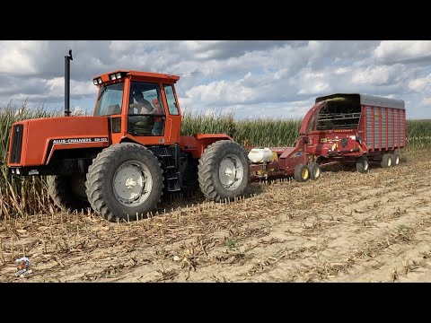 CHOPPING CORN SILAGE with Allis Chalmers Tractors