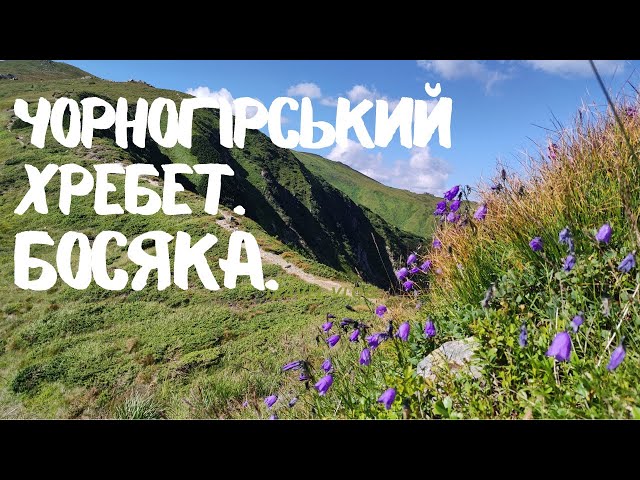 Фото нарізочка походу Карпатами