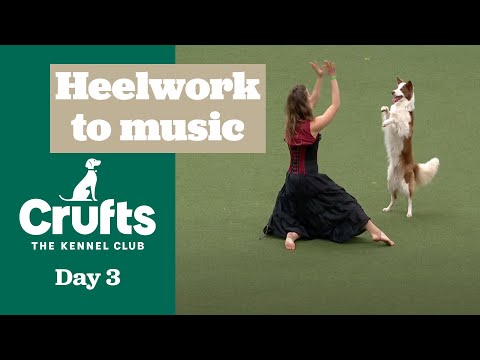 Heelwork to Music – Freestyle International Competition Part Two - | Crufts 2025