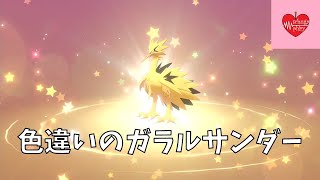 色違いのサンダー入手！【ポケモン剣盾】